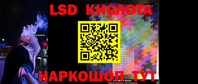 индика Кингисепп
