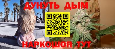 индика Кингисепп