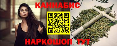 индика Кингисепп