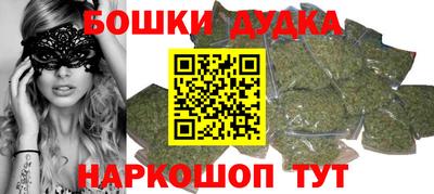 индика Кингисепп