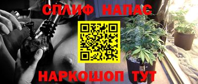 индика Кингисепп