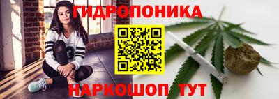 индика Кингисепп