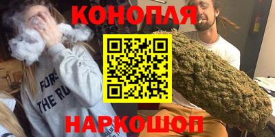 индика Кингисепп