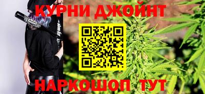 индика Кингисепп