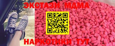 индика Кингисепп