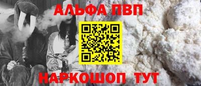 индика Кингисепп