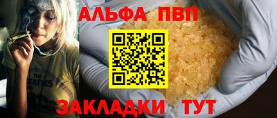 индика Кингисепп