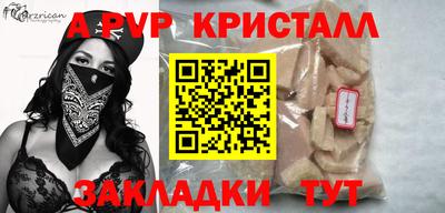 индика Кингисепп
