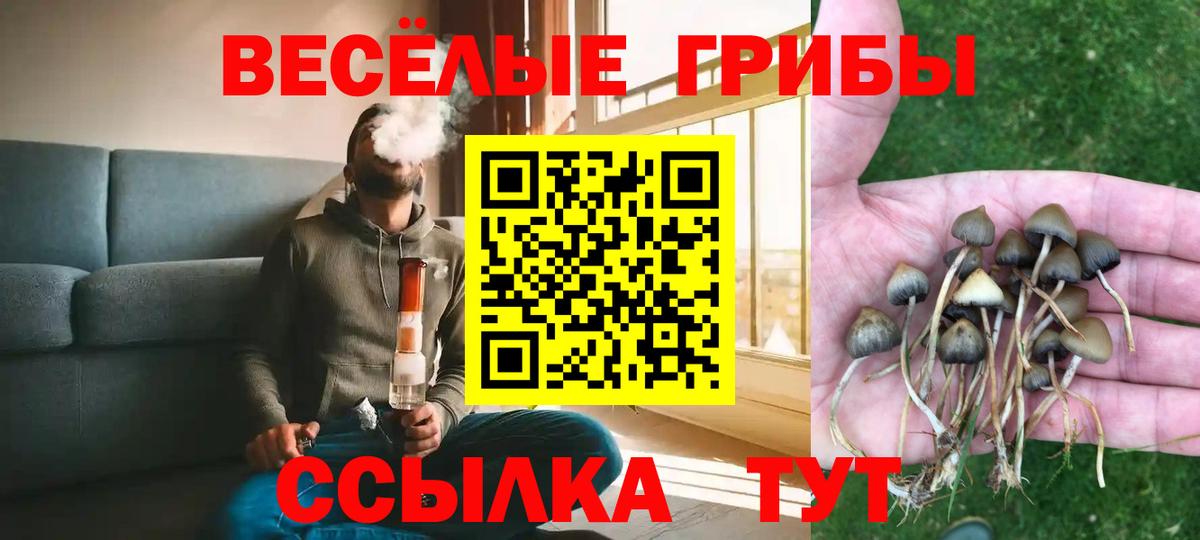 Псилоцибиновые грибы GOLDEN TEACHER  Вход с VPN  Галлюциногенные грибы Magic Shrooms  цены наркотик  Буйнакск 