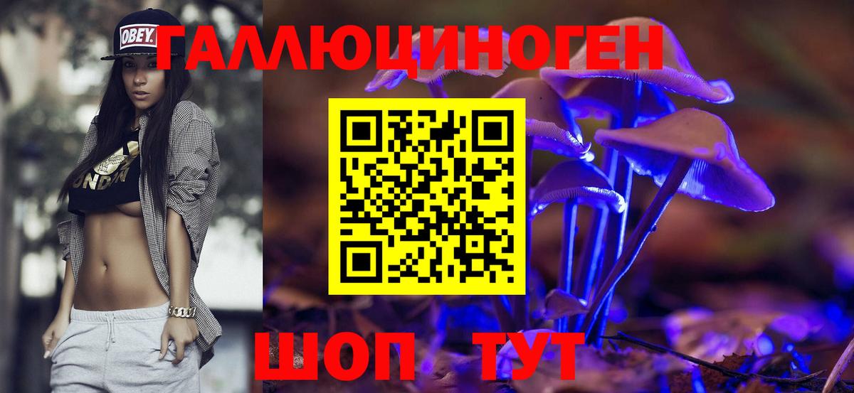 Псилоцибиновые грибы Magic Shrooms Буйнакск